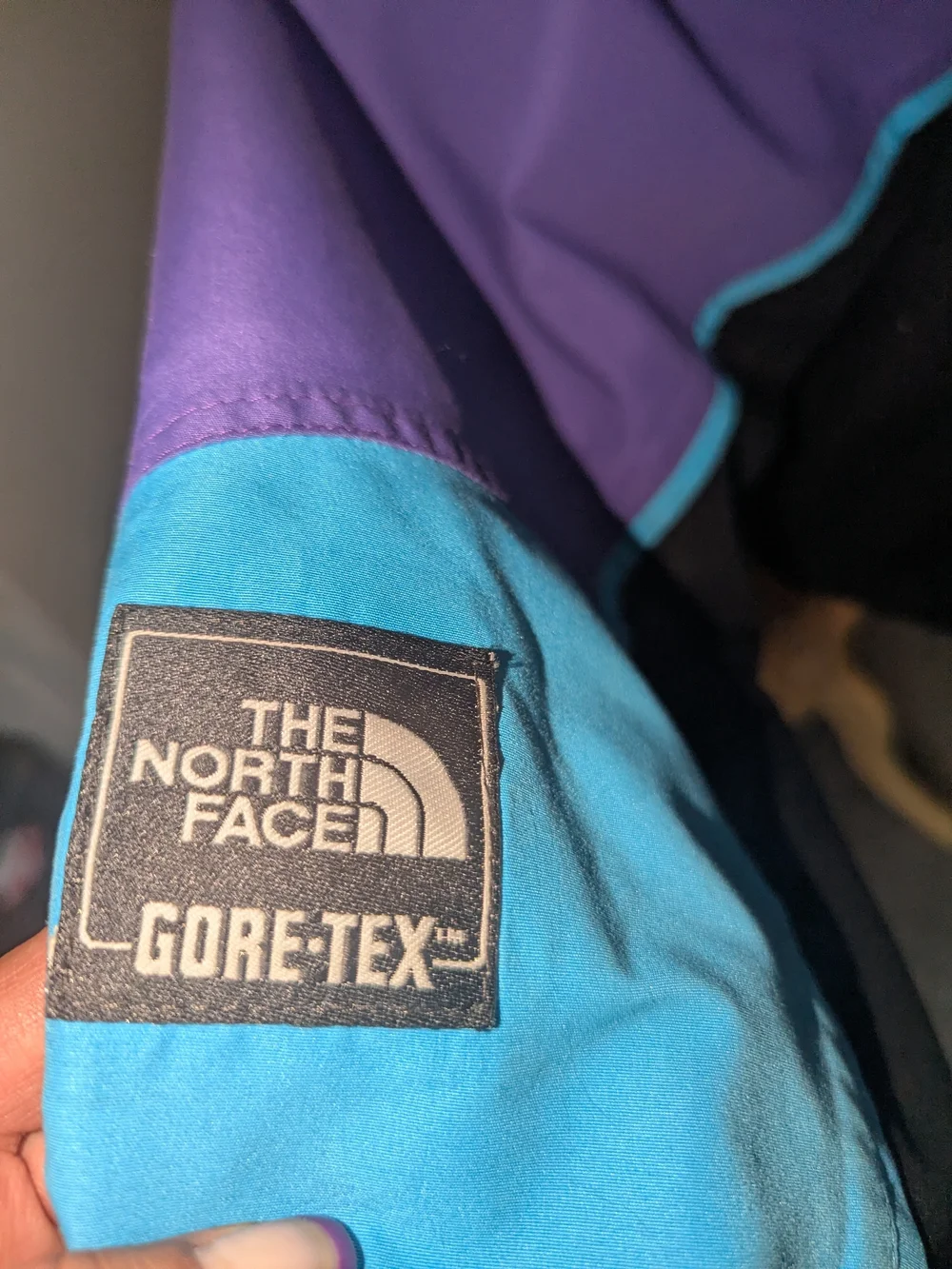 The North Face north face